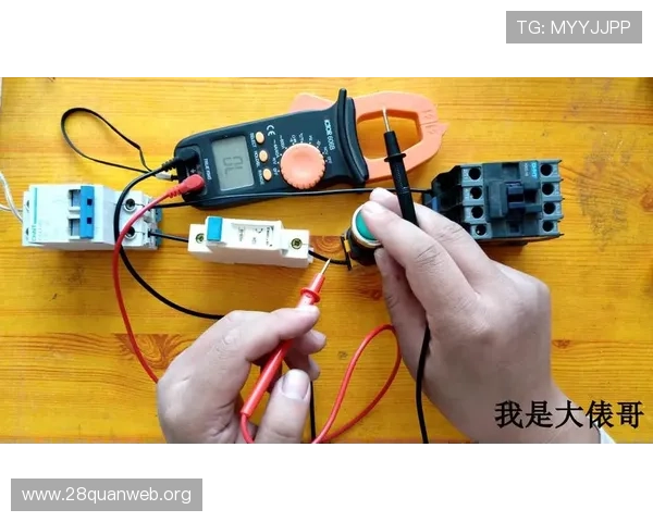 PP官方下载遇到问题怎么办？详细故障排查与解决方法全攻略